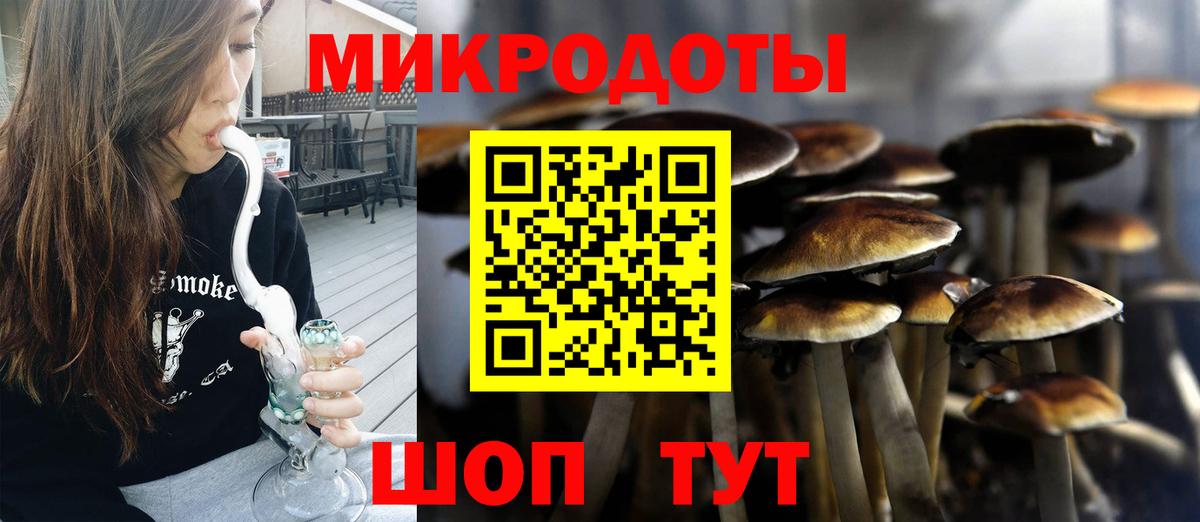 Галлюциногенные грибы Psilocybe Соль-Илецк